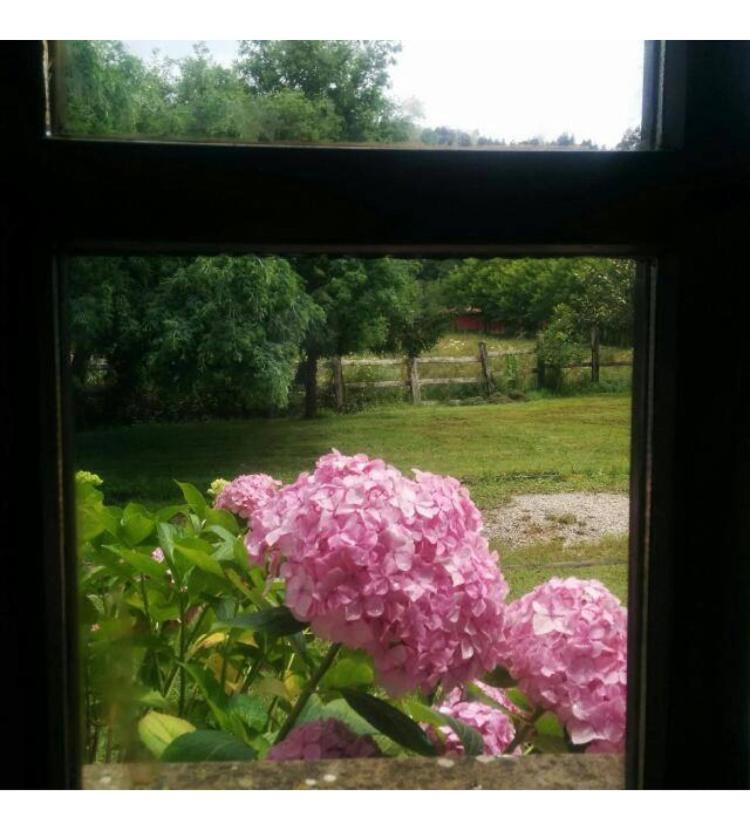 Casa Rural El Pozo Tremeo Sona エクステリア 写真
