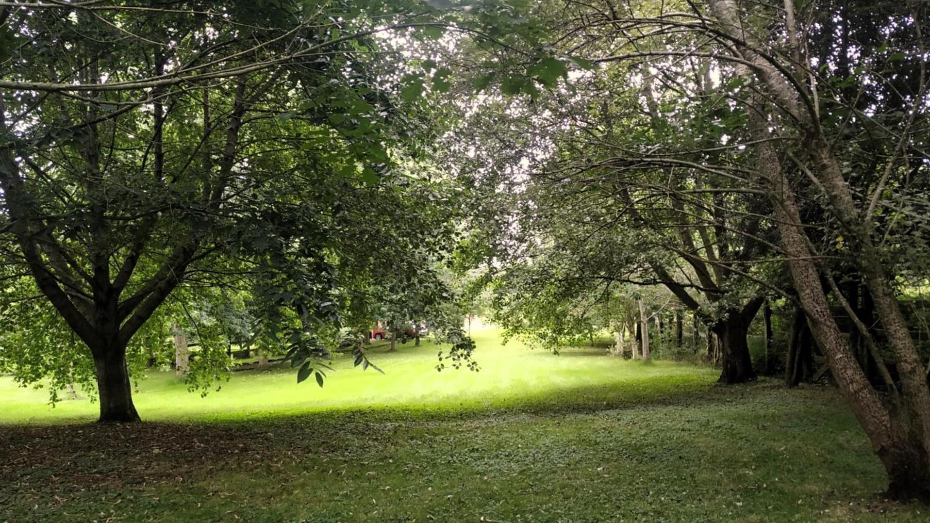 Casa Rural El Pozo Tremeo Sona エクステリア 写真